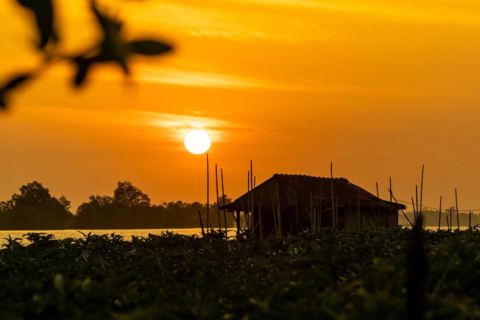 Can Tho Floating Market – 2