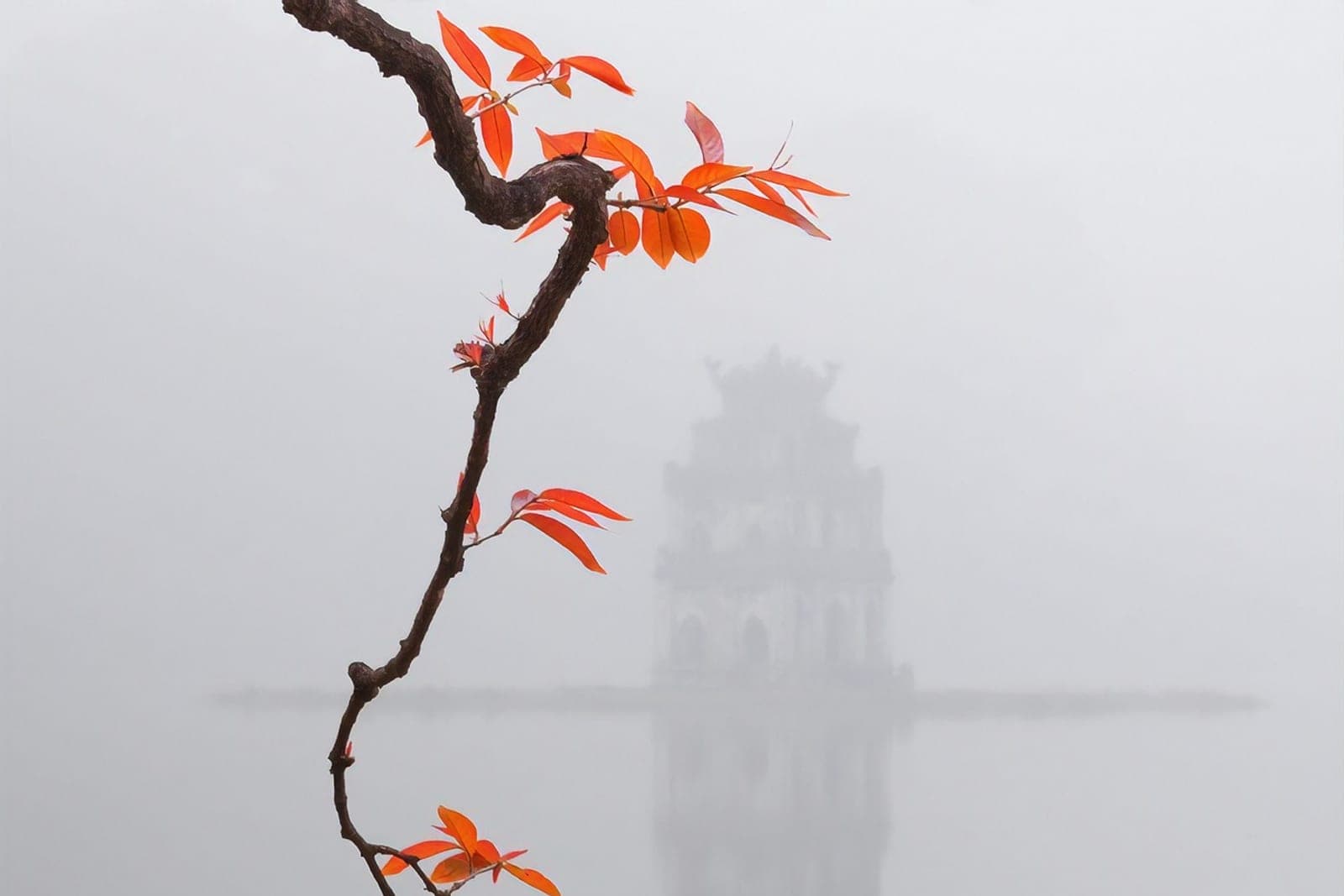 Hanoi – 14