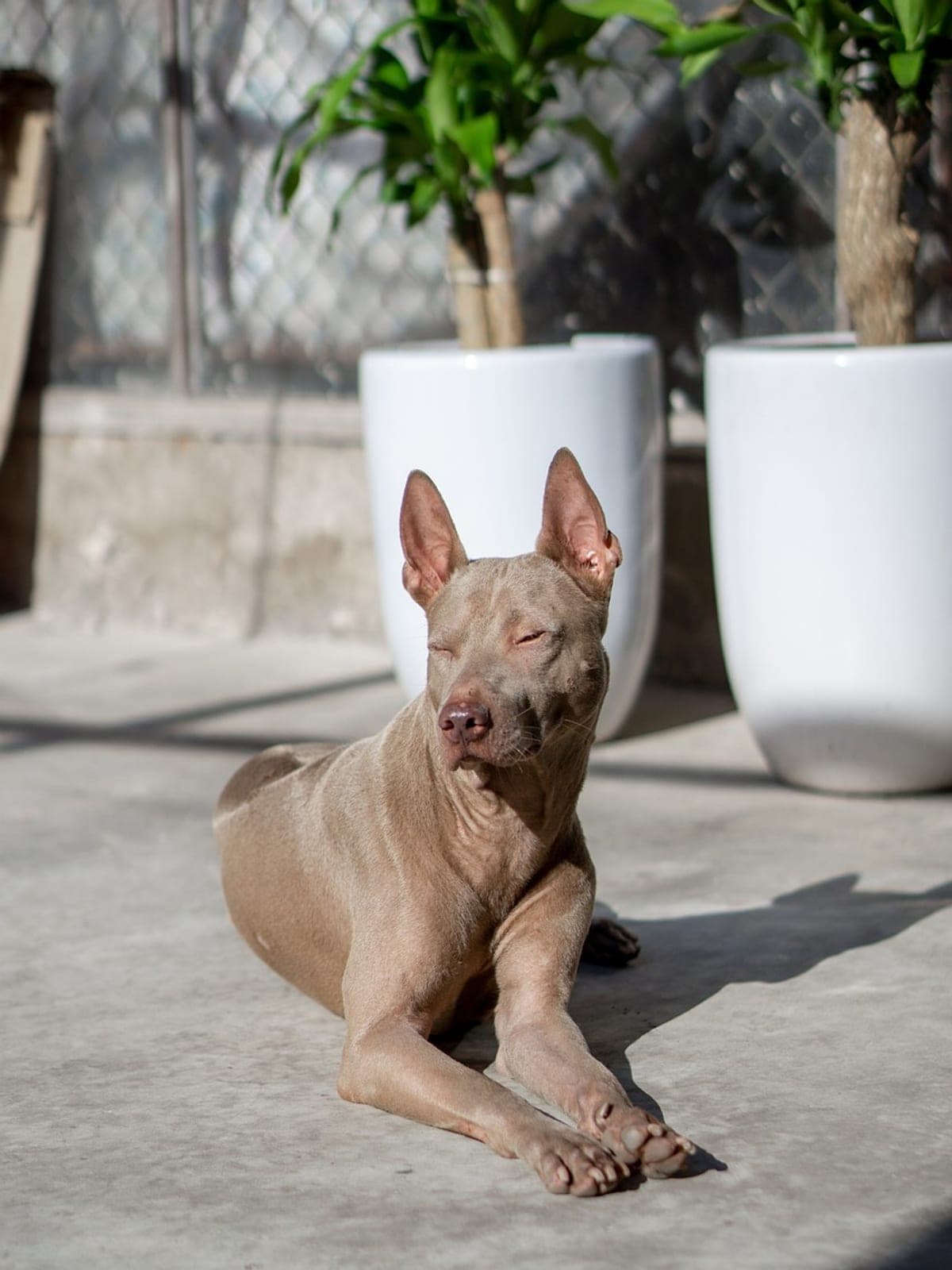 Phu Quoc Island – 3